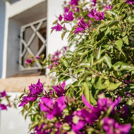 Bed and Breakfast Dolce Luna Arzachena
