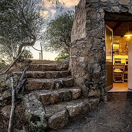Dolce Luna 4*