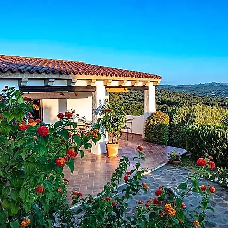 Dolce Luna 4*