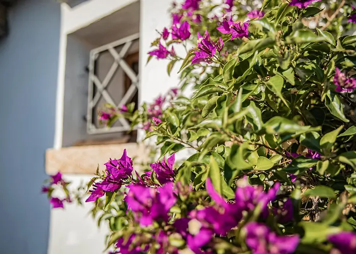 ベッド・アンド・ブレックファスト Dolce Luna アルツァケーナ