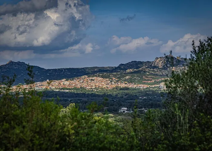 Dolce Luna アルツァケーナ